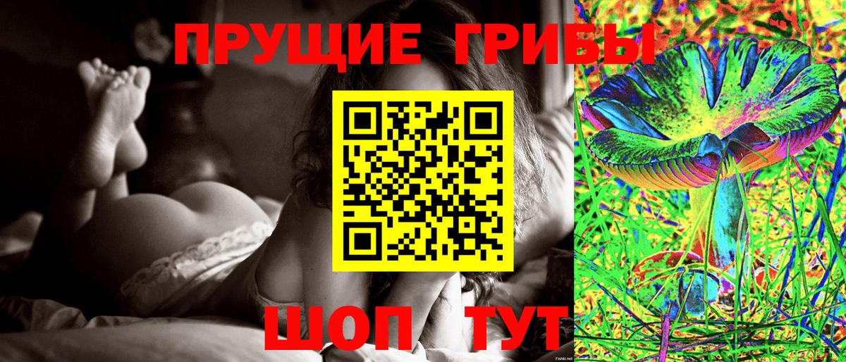 ГАШ Евпатория